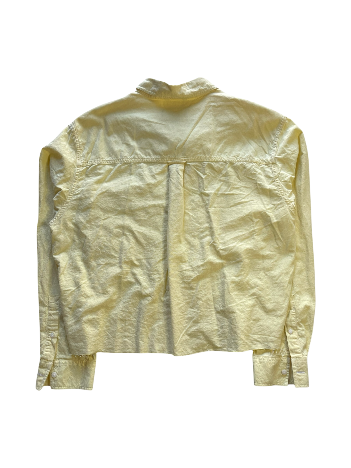 Wonder (1/1) Size: M